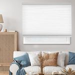 Chicology Cordless Cellular Shades Privacy Single Cell Window Blind, 24" W X 64" H, Morning Mist (Honeycomb Cell)