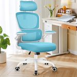 Razzor Ergonomic Office Chair, High Back Mesh Desk Chair with Lumbar Support and Adjustable Headrest, Computer Gaming Chair, Executive Swivel Chair for Home Office