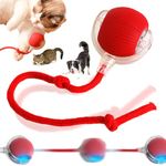 Interactive Rolling Dog Ball Toys, Self Rolling Cat Dog Ball Interactive Pet Toys Automatic Cat Toy Self Moving Dog Toys, 360° Smart Automatic Rolling Ball Toy Electric Dog Balls for Dog Cat (Red)