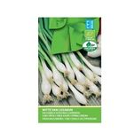 VibeX Spring Onion White LISBON Seeds-500 Seeds