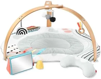 Skip Hop Discoverosity Deluxe Activity Gym