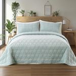 KASENTEX Luxurious Velvet Quilt Set, 3-Piece Stitch Bedding with Ultra Soft Lightweight Comforter and 2 Pillow Shams, Oversized Bedspread Coverlet for All Season, King Size, 104x90 in, Gray Green