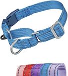 YUDOTE Reflective Martingale Dog Co