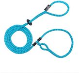 Harness Lead No Pull Dog Harness and Leash Set, Anti Pull Dog Harness for All Breeds and Sizes, One-Piece Cushioned Rope Design Safely Prevents Escaping and Pulling (Small/Medium, Blue/Multi)