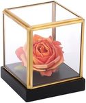 TOLIDA 10*10*12cm Clear Glass Display Box with Black Pine Base - Desktop Gold Edge Decorative Showing Case for Collectibles Figures Dolls Toys