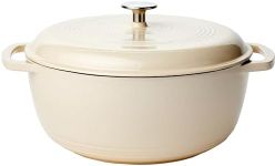 Amazon Basics Enameled Cast Iron Co