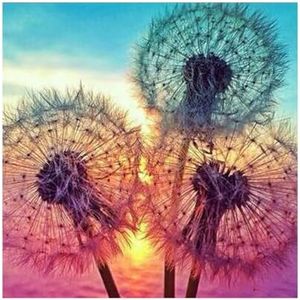 JININQ Diamond Painting Kits 5D DIY City Landscape Diamond Painting Art Kits for Adults Diamond Dots Diamond Art Kits Diamond Gem Art Crafts for Home Wall Decor DIY Gift-12x16 in (Dandelion Seeds)