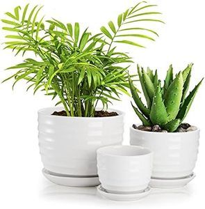 Fasmov Ceramic Plant Pots, 3.8+5.2+6.5 inch, 3 Pack Planters with Drainage Hole and Saucer, Round Modern Flower Pots Succulent Cactus Plant Pots for All House Plants, Flowers, Succulent, White
