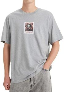 Levi's Men's Short Sleeve Graphic T-Shirt, Cotton, Polaroid Relaxed TEE MIDTONE Heather GRE, XL