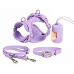 PAWXPRESS Dog Harness: Adjustable Soft Harness for Puppy - Cloudfit Set (Purple, XS)