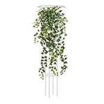 Trellis for Potted Plants, Umbrella