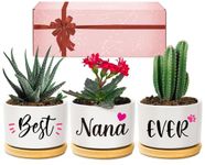 Giftasy Nana Gifts, Nana Birthday Gifts, Best Nana Ever Succulent Pots Gifts for Nana from Grandchildren, Unique Garden Gift Ideas for Nana on Birthday Mother's Day for Nana