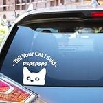 Tell Your Cat I Said Funny Cute Car Window Bumper Decal Vinyl Sticker Laptop Sticker Label