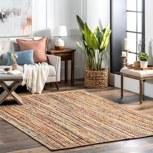 nuLOOM Aleen Braided Cotton/Jute Area Rug, 3' x 5', Multi