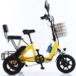 Electric Trikes For Adults Motor