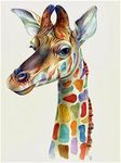 Meecaa Paint by Numbers Colorful Giraffe Kit for Adults Beginner DIY Oil Painting 16x20 inch (Giraffe, No Frame)