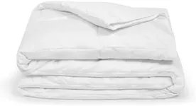 Sleepgram Pre Shrunk All Season Embroidered Microfiber Cotton Comforter