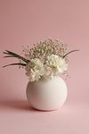 Craftribal Ceramic Round Vase | Flower Vase | Ceramic Vase | Round Shaped Vase | Modern Vase | Home Decor Centrepiece | Decor Piece 5.5 inches (White)