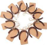 AerWo 20pcs Horse Shoes Favors with