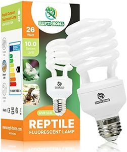 REPTI HOME
