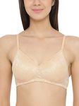 Clovia Women's Net Padded Wire Free Everyday Bra (BR1479P2432B_Beige_32b_Beige_32B)