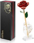 Ariceleo Gold Dipped Infinity Rose Last Forever Flower Decor, Birthday Gift for Women in Her Birthday Valentines Day Mothers Day, Resin Preserved Rose | Anniversary Present for Mom (Red)