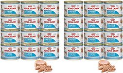 Royal Canin Mother & Babydog Starter Mousse (24 x 195g)