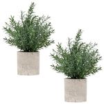 Coferset 2 Pack Small Fake Plants Rosemary Potted Artificial Plants for Shelf Desk Home Bathroom Farmhouse Room Coffee Table Decor (Green)