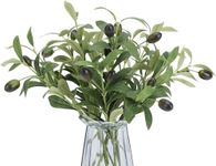 Betylifoy 10 Pack Artificial Olive Branches Fake Olive Plants Green Leaves Fruits Branch Faux Olive Tree Branches Greenery Stems for Vase Bouquets Wedding Home Decor (Olive)