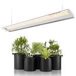 Spider Farmer SF600 LED Grow Light Sunlike Full Spectrum Growing Lamp for Indoor Plants Seeding Veg Flower Hydroponic with 384 Diodes