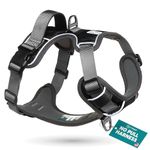 Embark Pets Adventure Dog Harness, No Pull Dog Harness with 2 Leash Clips for Large Dogs anti pull dog harness Front & Back with Control Handle, Adjustable, Soft & Padded Puppy Harness