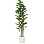 OAKRED Artificial Fiddle Leaf Fig Tree with White Planter, 6ft Tall Fake Tree with Natural Wood Trunk for Home Decor, Faux Ficus Tree Fake Moss for Indoor Office Living Room
