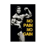 ESCAPER Arnold Schwarzenegger Gym posters for Wall (12 x 18), Poster for Gym Motivation, Workout Poster for Gym, Exercise Posters, Bodybuilders Posters, Fitness Center Posters