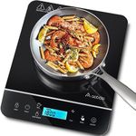 Aobosi 2000W Single Induction Hob,P