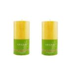 Aroma Naturals Verb Green 2.75x5 Pilr (4x1each)