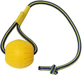 Pelota de 