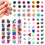 216PCS Dried Flowers Nail Art - Nail Art Accessories Kits, 57 Color Lovely Natural Flower Nail Art, Dried Flowers for Resin Molds, Dry Flowers for Nails, YWLI