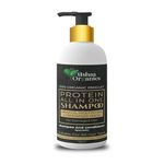 Ashaa Organics Sulphate Free -Protein All In One Shampoo+Conditioner, 1 Count