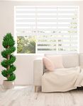 Zebra Blind - Day and Night Roller Blinds, Modern Zebra Roller Blinds for Windows, Dual Layer Fabric Elegant Durable, Easy to Clean, 145 cm Drop, White, (70cm Width)