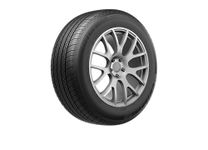 Uniroyal Tiger Paw Touring A/S All Season Car Tire for Passenger Cars and Minivans - 205/55R16 91H