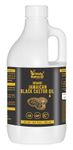 Holy Natural - The Wonder of World Holy Natural Organic Jamaican Black Castor Oil For Hair, Eyelash, Eyebrow And Skin | 1 Liter