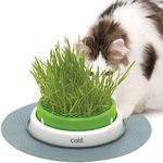 Catit Senses 2.0 Grass Planter, Gre