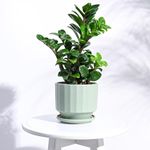 UGAOO Frosted Ceramic Pot for Indoor Plants (5 Inch, Mint)