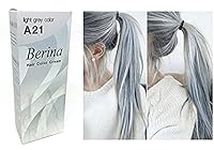 Berina A21 Light Grey Silver Perman