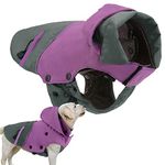 PETLOFT Dog Winter Jacket, Reflective Waterproof Dog Winter Coat Windproof Warm Outdoor Fleece Winter Dog Jacket Dog Raincoat with Detachable Fleece Lining (L, Purple)