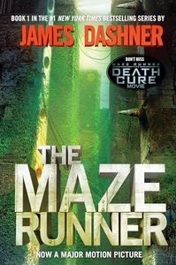 The Maze R