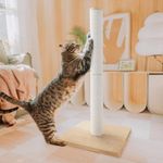 Necoichi 31.5” Tall Cat Scratching Post Kitten Scratcher Paper Rope Scratch Posts Trees with Hanging for Indoor Cats (31.5 inches for Adult Cats, Large, Oak)