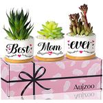 Gifts for Mom from Daughter Son, Chirstmas Gifts for Mom Stepmom, Best Mom Ever, Creative Present for Birthday Mother‘s Day, Garden Decor Planter Succulent Pots