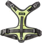 Mighty Paw Sport Harness 2.0 - Padded Canine Accessory - Adjustable Neck and Chest Straps - Enhanced Visibility with Reflective Stitching - Dog Body Harness - Neoprene Dog Harness - Medium - Green