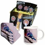 3dRose Birds, Blue Jay, Coffee Gift Baskets